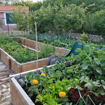 Manda Korina * 克利斯